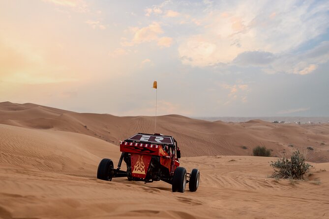 Dubai Dune Buggy Safari Tour in Red Dunes Options - Pickup, group size, and service details