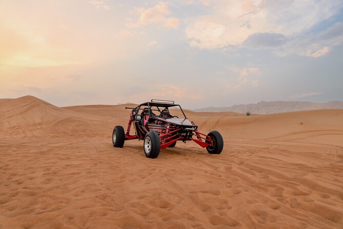 Dubai Dune Buggy Safari Tour in Red Dunes Options - Who will enjoy this tour most