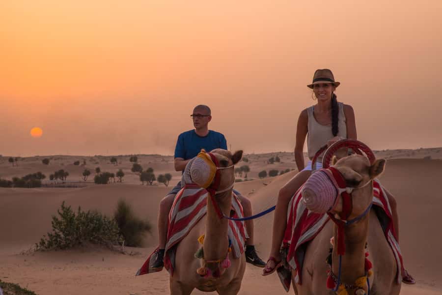 Dubai: Evening Camel Trekking & Dinner at Al Marmoom Oasis - Value at $120 per person