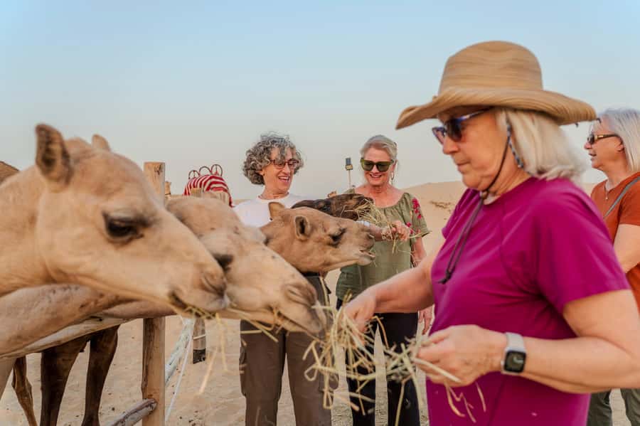 Dubai: Evening Camel Trekking & Dinner at Al Marmoom Oasis - BBQ dinner and the evening show