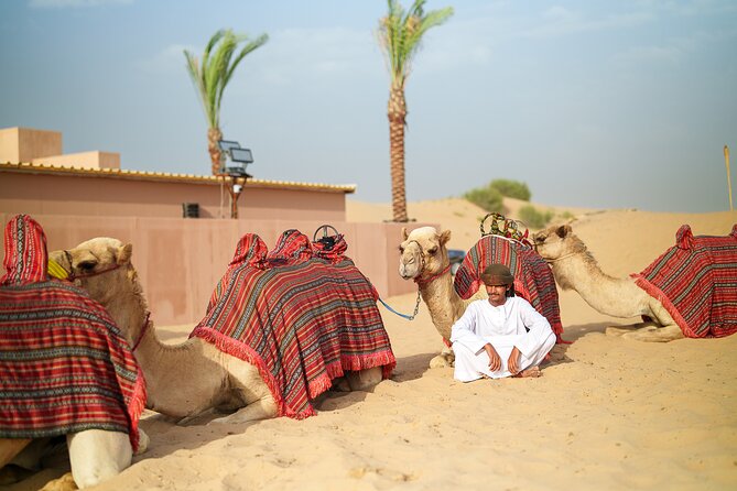 Dubai Evening Desert Safari BBQ Dinner & Transfer to Noble Camp - BBQ buffet dinner with vegetarian choices