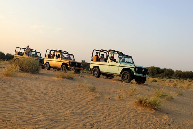 Dubai Evening Heritage Safari by Vintage G Class Al Marmoom Oasis - Why the vintage G Class changes the desert safari