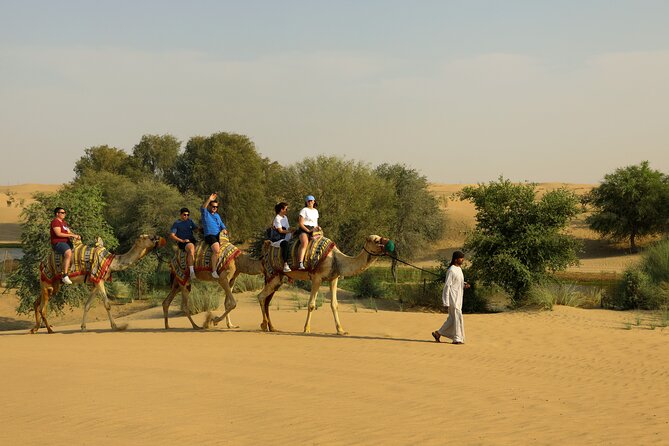 Dubai Evening Heritage Safari by Vintage G Class Al Marmoom Oasis - A quiet finish with telescope stargazing