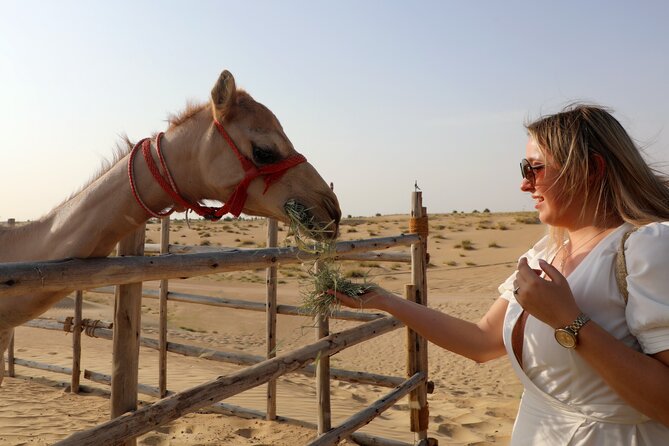 Dubai Evening Heritage Safari by Vintage G Class Al Marmoom Oasis - Who will enjoy this Al Marmoom evening
