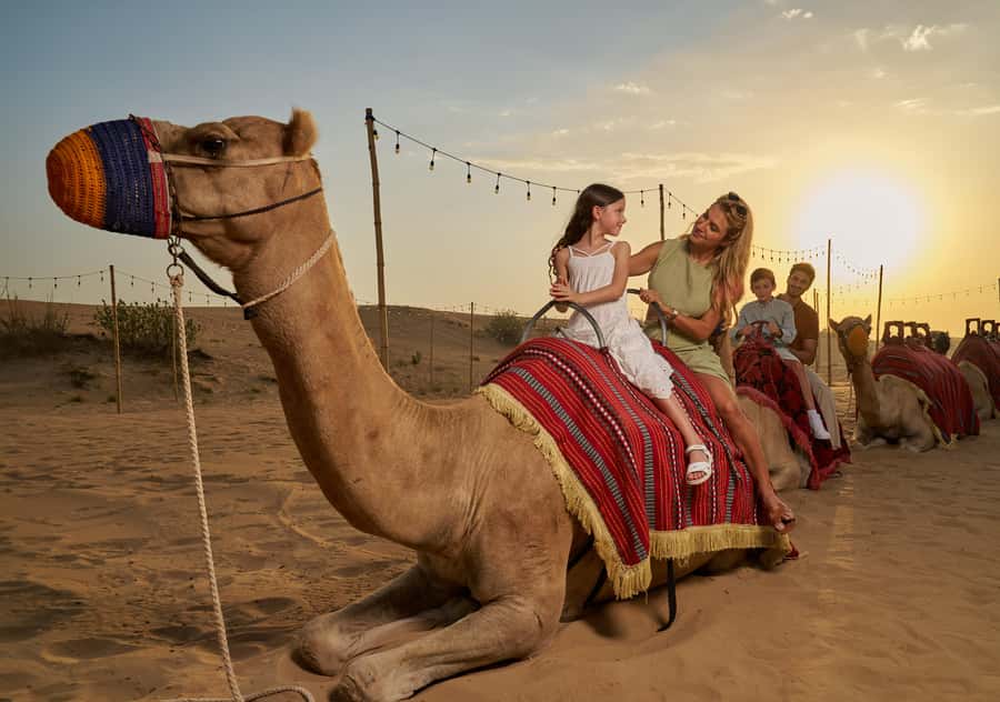 Dubai: Exclusive VIP Desert Safari Dinner with Live Show - Sandboarding and sunset photo stops