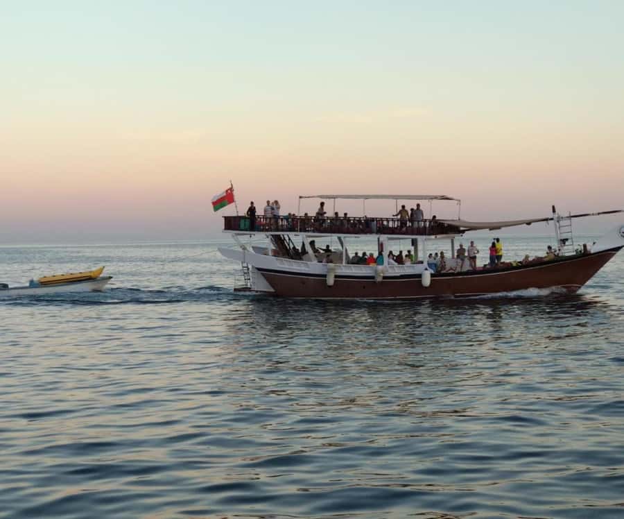 Dubai: Full-Day Sea Safari to Musandam - Comfort, crew, and practical limitations