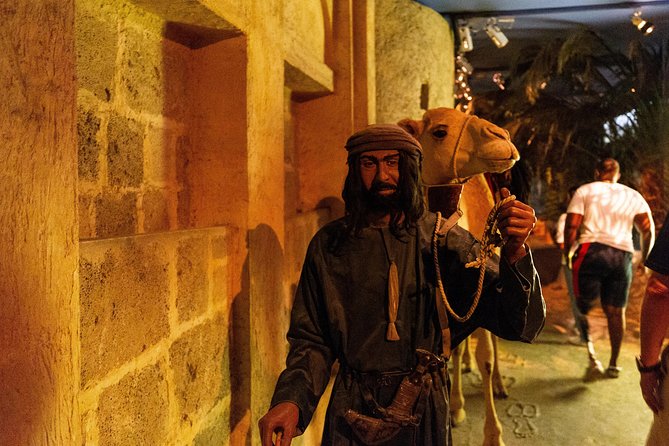 Dubai Half-Day City Tour with Visit to Dubai Gold Souk - What the $16 price really buys you