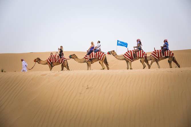 Dubai: Half-Day Desert Safari, Camels, Quad Bike & Refreshments - Camel Riding, Falcon Viewing, and Desert Photos