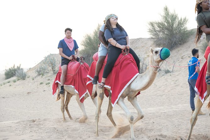 Dubai Half-day Red Dunes bashing with Sandboarding, Camel &Falcon - Why this short morning safari works