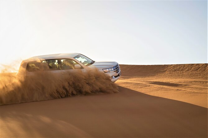 Dubai Half-day Red Dunes bashing with Sandboarding, Camel &Falcon - Who should book this morning safari