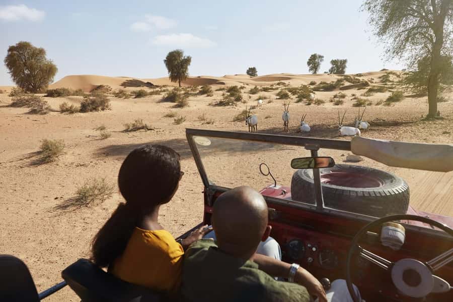 Dubai: Heritage Safari in Vintage Land Rover with Dinner - Four-course Emirati dinner at a low table