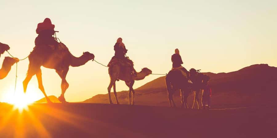 Dubai: Hot Air Balloon with Camel, ATV, & Horse Ride Options - Key points to know before booking