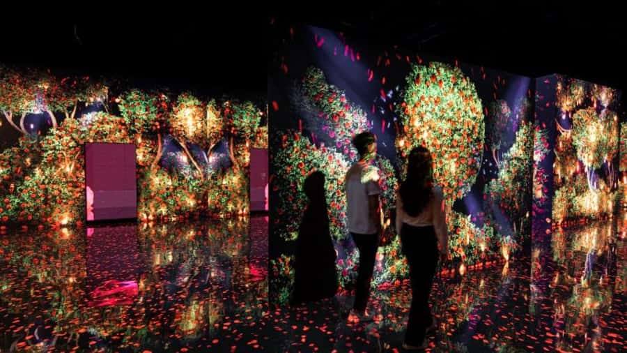 Dubai: iVenture Card Dubai Flexi Attractions Pass - Aquariums, animals, and unusual indoor stops