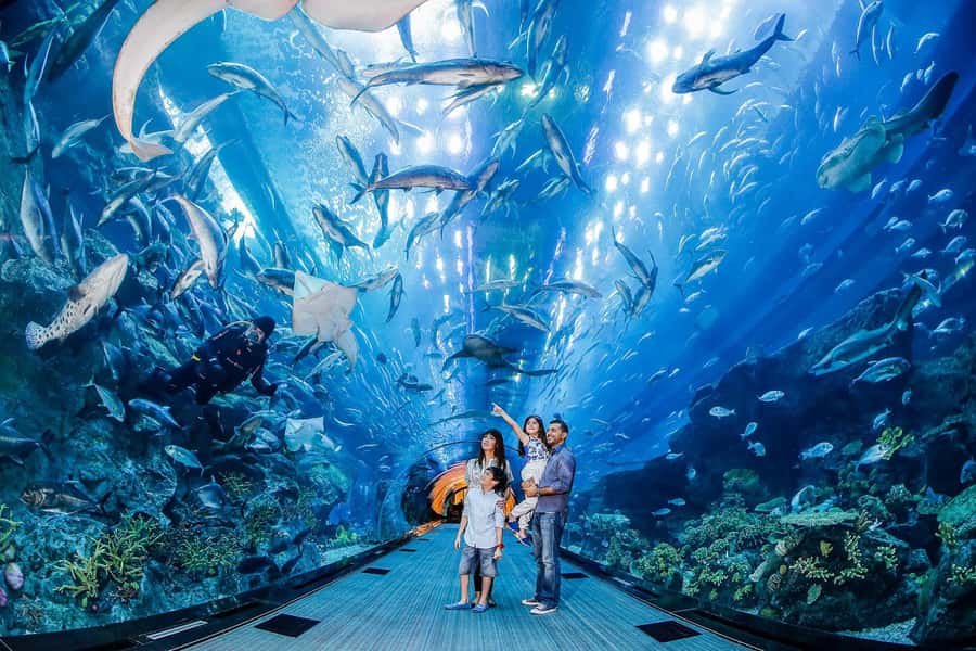 Dubai: iVenture Card Dubai Select Attractions Pass - Pool 1: Dubai’s biggest headline attractions