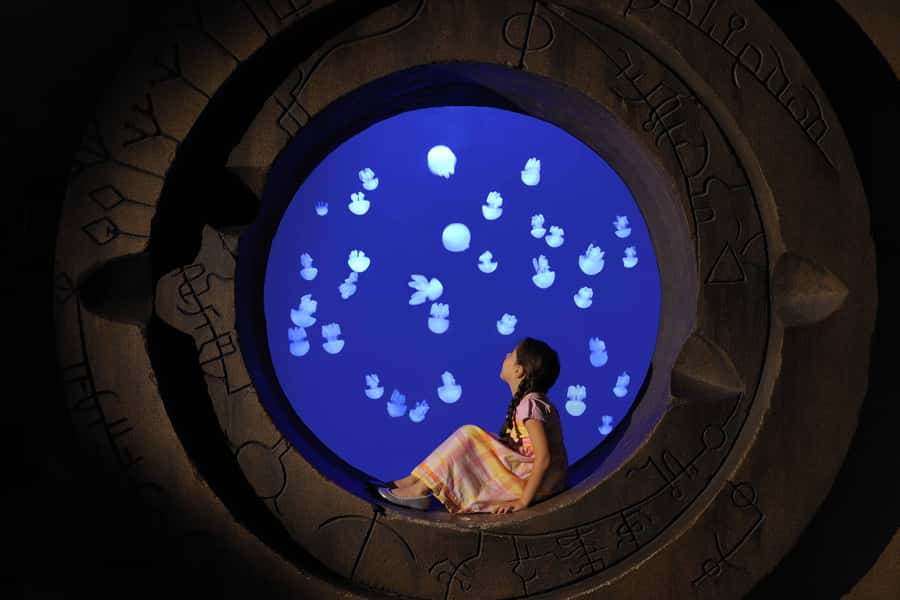 Dubai: Lost Chambers Aquarium Entry Ticket - Entering the Lost Chambers at Atlantis The Palm
