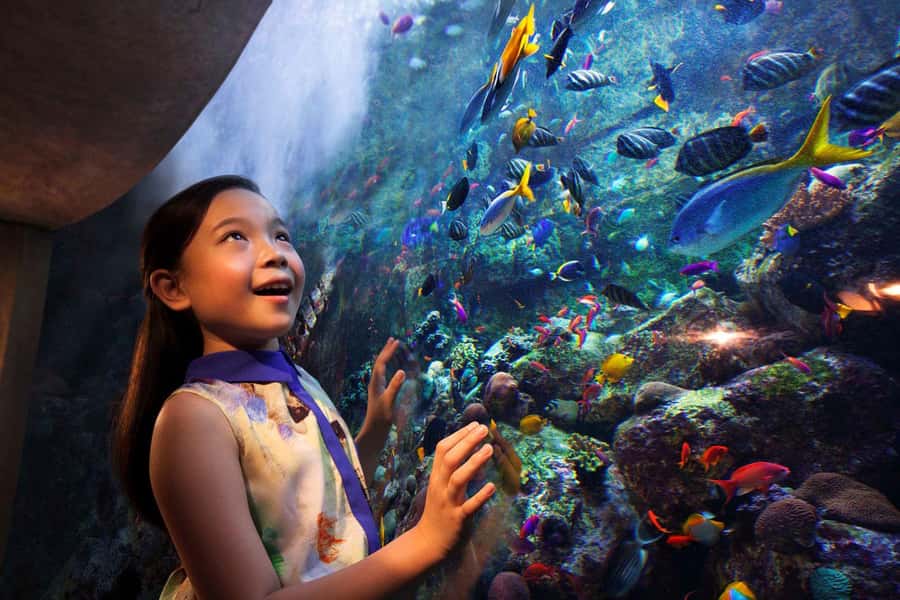 Dubai: Lost Chambers Aquarium Entry Ticket - What the 14 chambers actually feel like