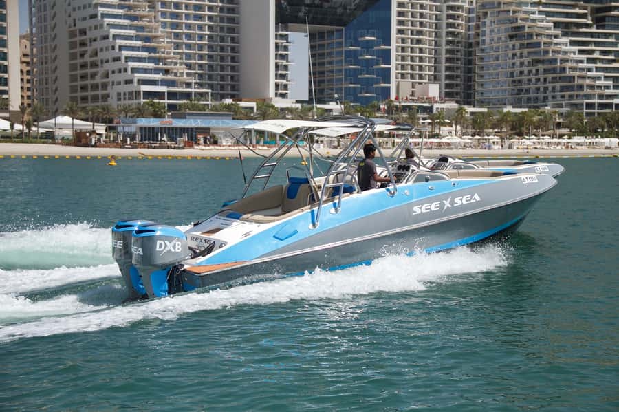 Dubai: Marina Private Boat Tour & Palm Jumeirah Sightseeing - The sights you see from the water