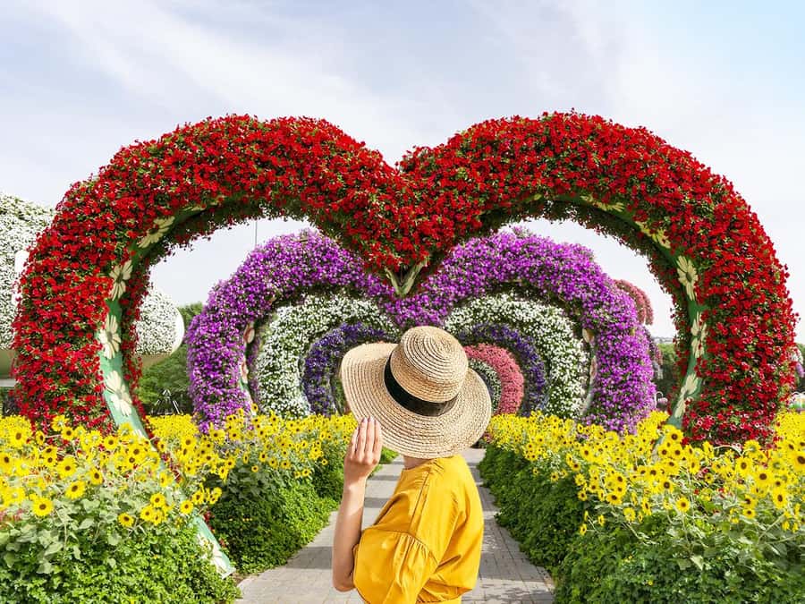 Dubai: Miracle Garden Entry Ticket with Hotel Transfer - Entering Miracle Garden and finding your route