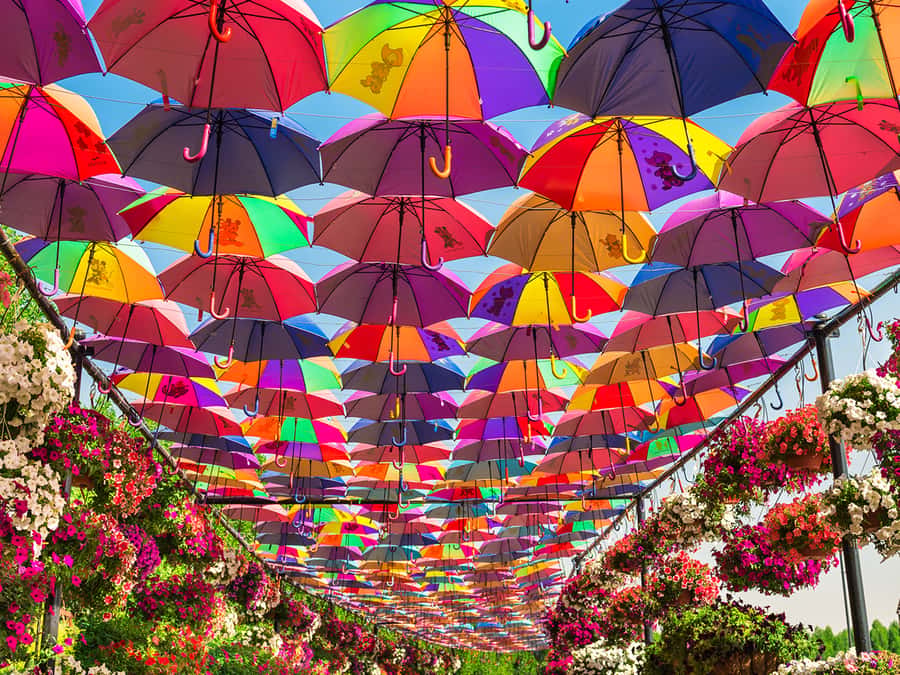Dubai: Miracle Garden Entry Ticket with Hotel Transfer - How long should you allow?