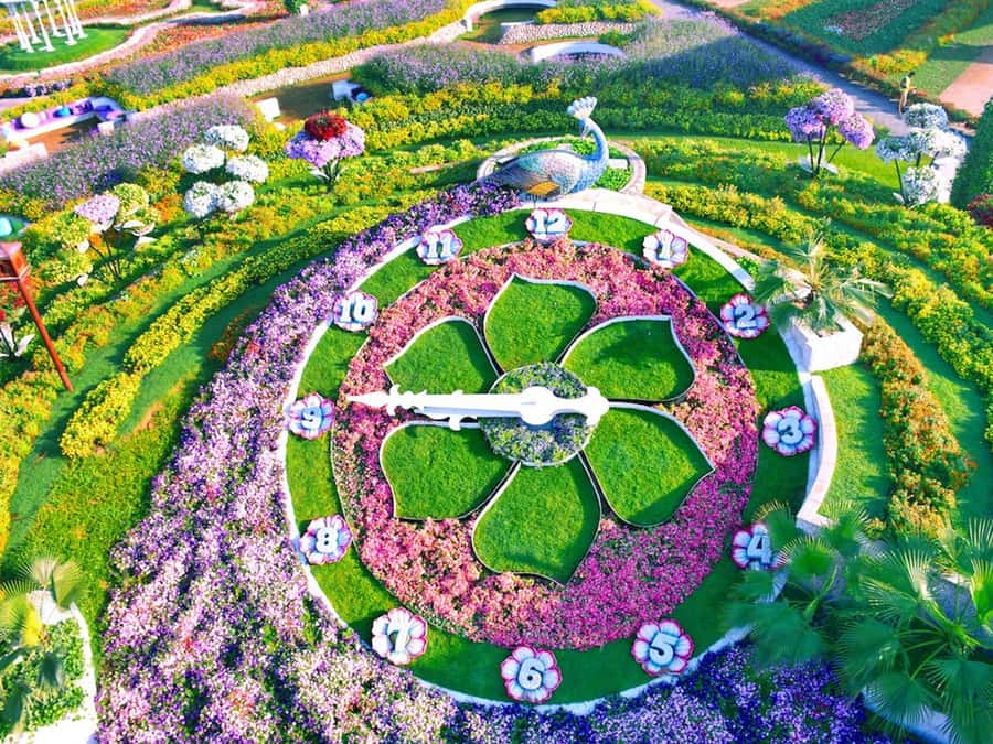 Dubai: Miracle Garden Entry Ticket with Hotel Transfer - Hotel pickup: the part that saves the most effort