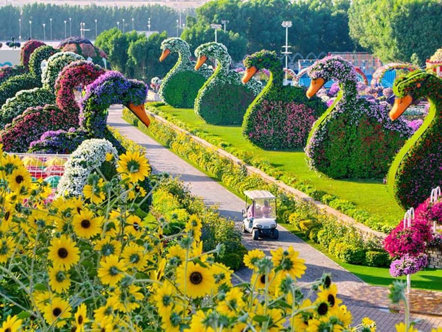 Dubai: Miracle Garden, Global Village, and Dubai Frame - Hotel pickup makes the long distances easier