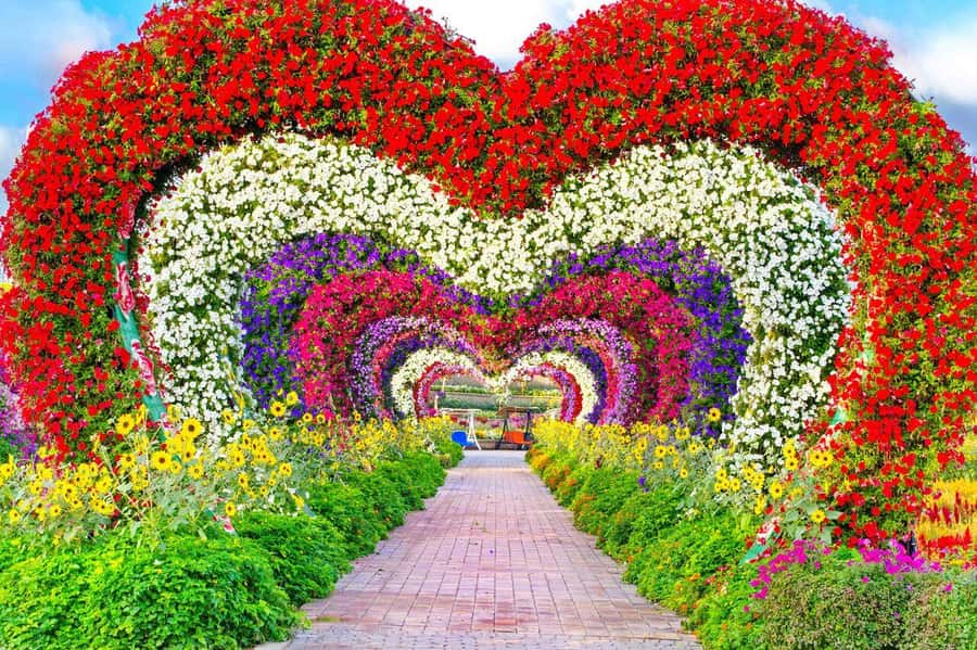 Dubai: Miracle Garden, Global Village, and Dubai Frame - Dubai Frame: a useful addition, but confirm the schedule