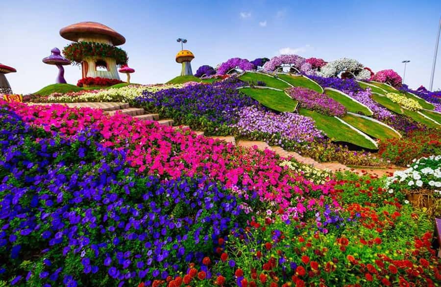 Dubai: Miracle Garden, Global Village, and Dubai Frame - How much time do you need?