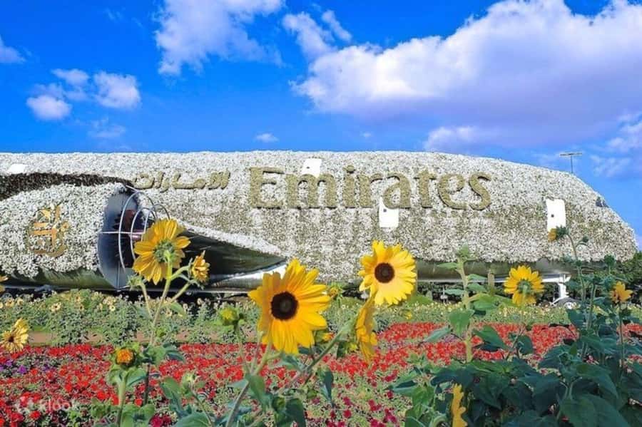 Dubai: Miracle Garden, Global Village, and Dubai Frame - Should you book this Dubai day out?
