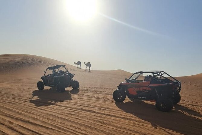 Dubai Morning Buggy Dunes Safari with Sandboarding & Camel Ride - What the timing means for your day