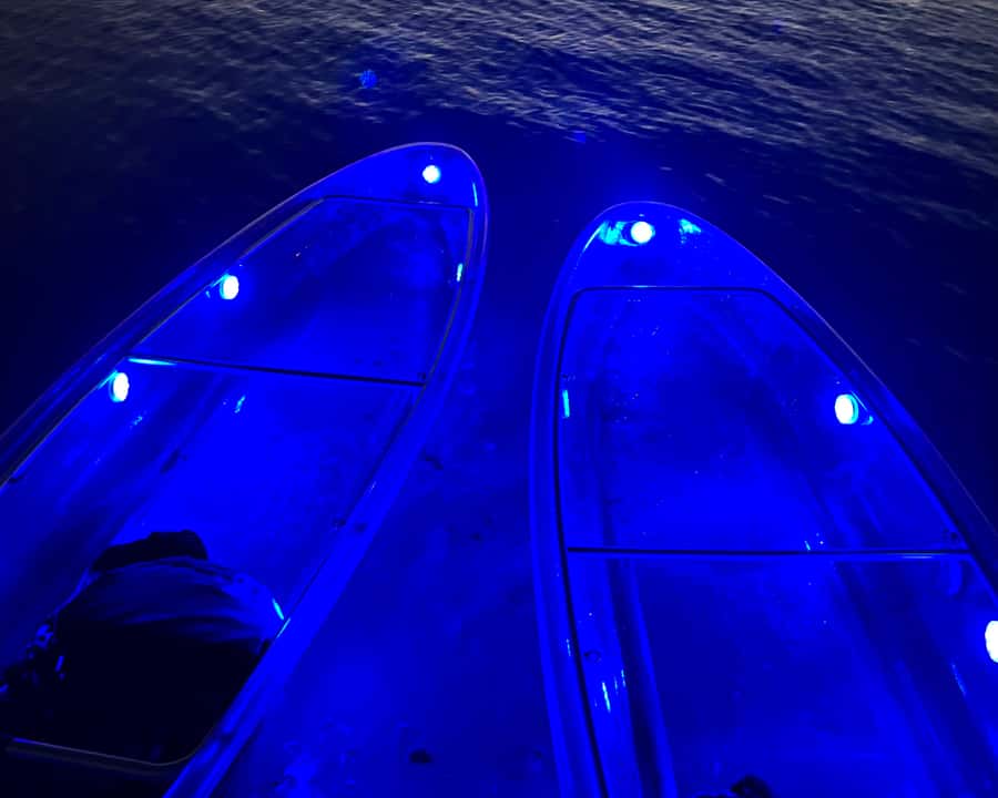 Dubai: Night Kayaking Tour - Who Will Enjoy This Most?