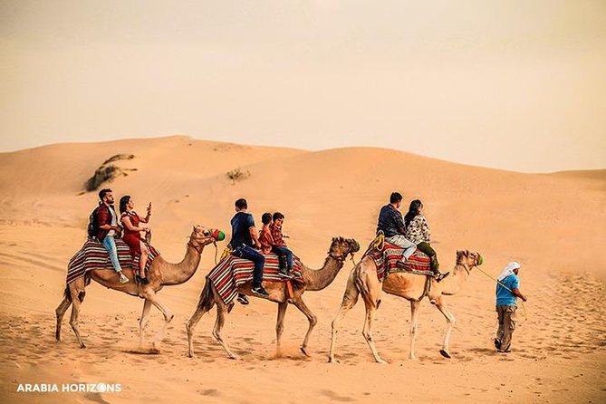Dubai Premium Desert Safari with Live shows & Gourmet Dinner - The real appeal is the red sand and changing pace