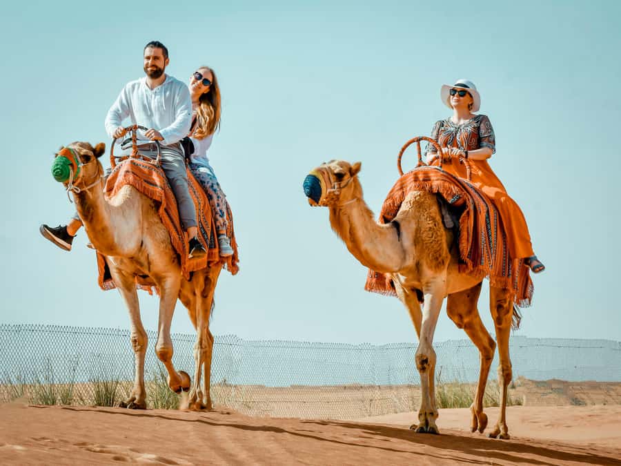 Dubai: Premium Red Dune Safari with Sandboarding & BBQ - Key points at a glance
