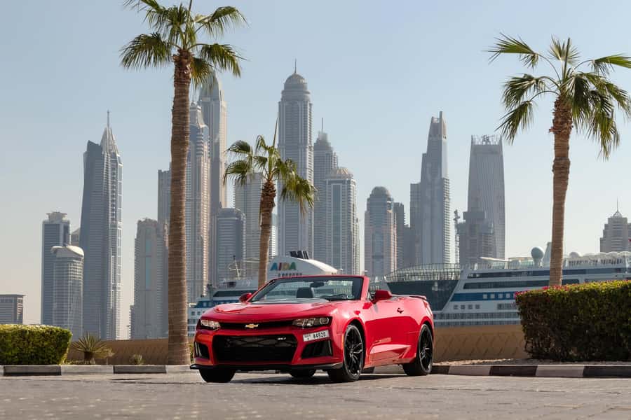 Dubai: Private City Sights Tour in a Cabriolet Convertible - Dubai Marina and the evening city lights