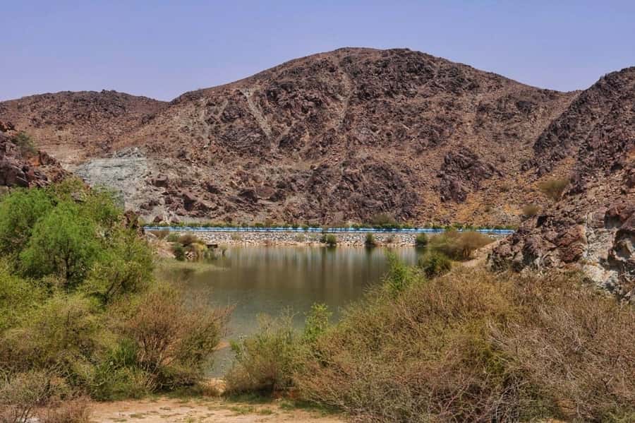 Dubai: Private Desert Day Tour and Wadi Shawka Pool Visit - What the $107 price includes