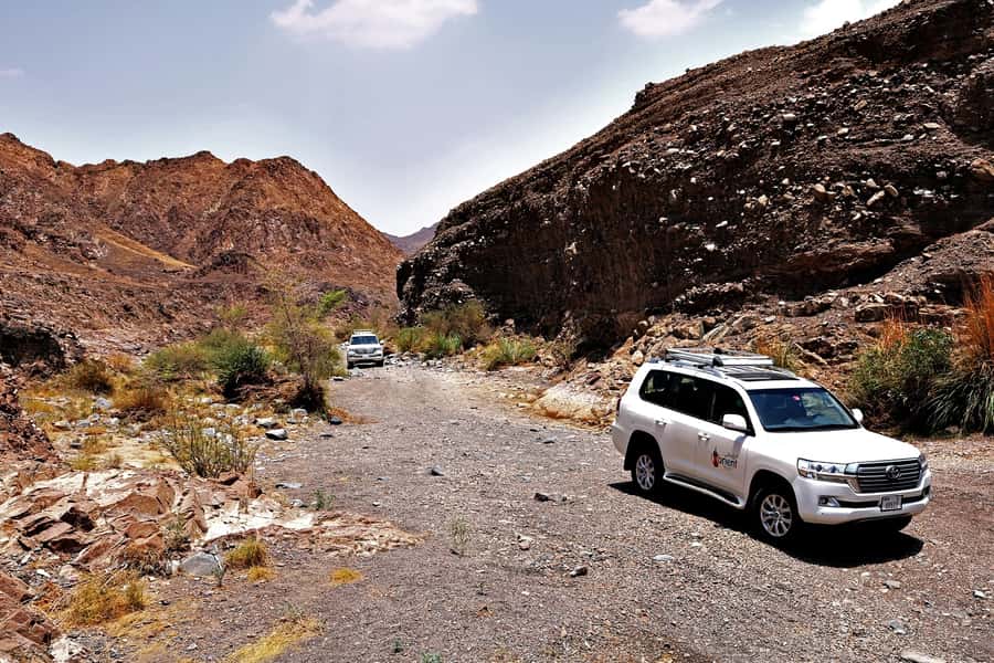 Dubai: Private Desert Day Tour and Wadi Shawka Pool Visit - Heat, clothing, and what to leave behind