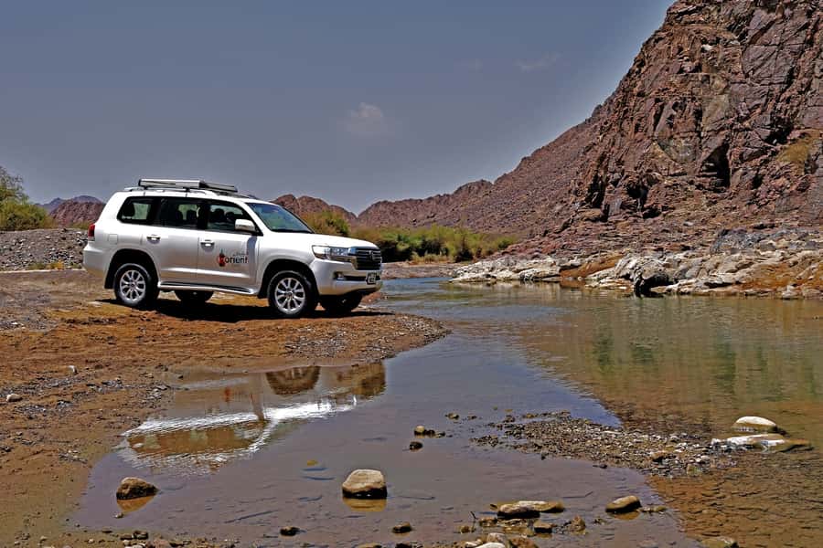 Dubai: Private Desert Day Tour and Wadi Shawka Pool Visit - Camel Rock and Fossil Rock add character to the desert