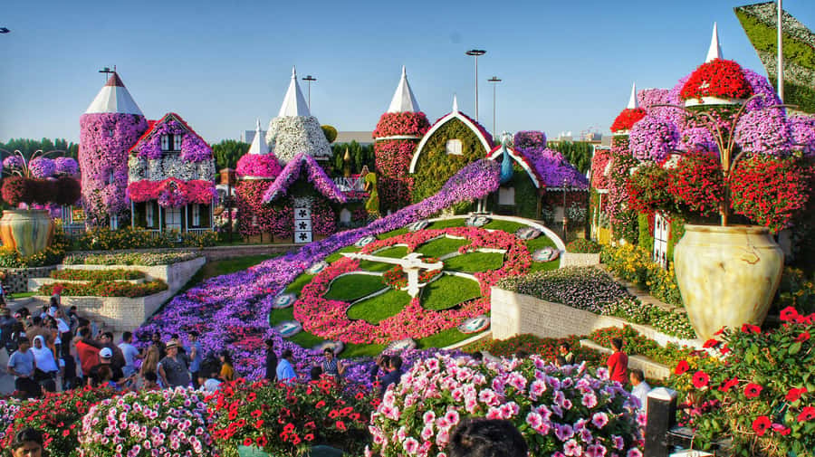 Dubai: Private Dubai Flora and Fauna Trip - Key points to know before booking