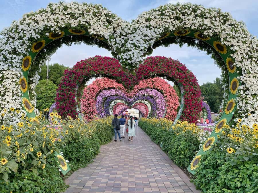 Dubai: Private Dubai Flora and Fauna Trip - Who will enjoy this most?