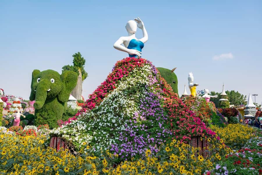 Dubai: Private Dubai Flora and Fauna Trip - Booking details worth keeping in mind