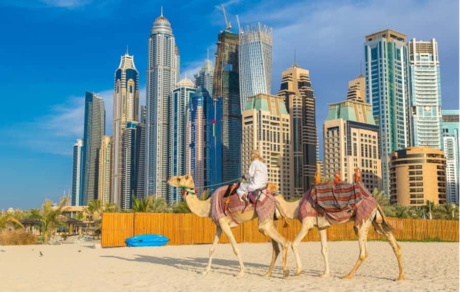 Dubai: Private Half-Day Sightseeing Tour - Jumeirah Mosque, beach, and Burj Al Arab