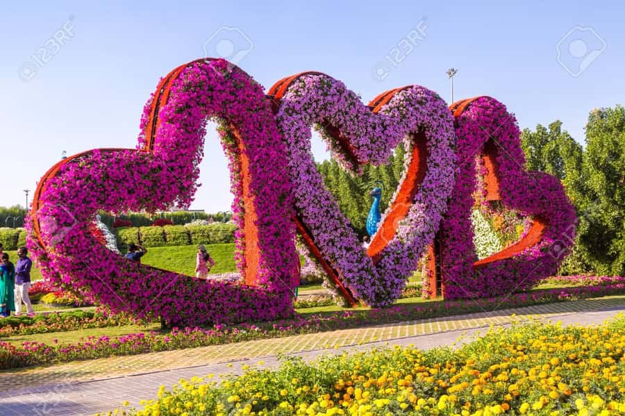 Dubai: Private Miracle Garden & Global Village Trip - The private driver is the real convenience