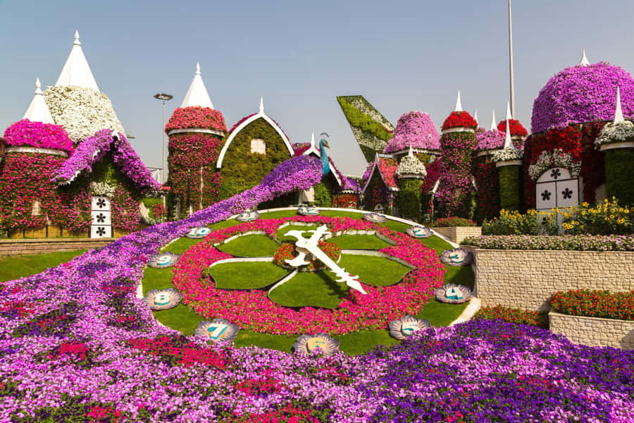 Dubai: Private Miracle Garden & Global Village Trip - Tickets, timing, and the optional Butterfly Garden