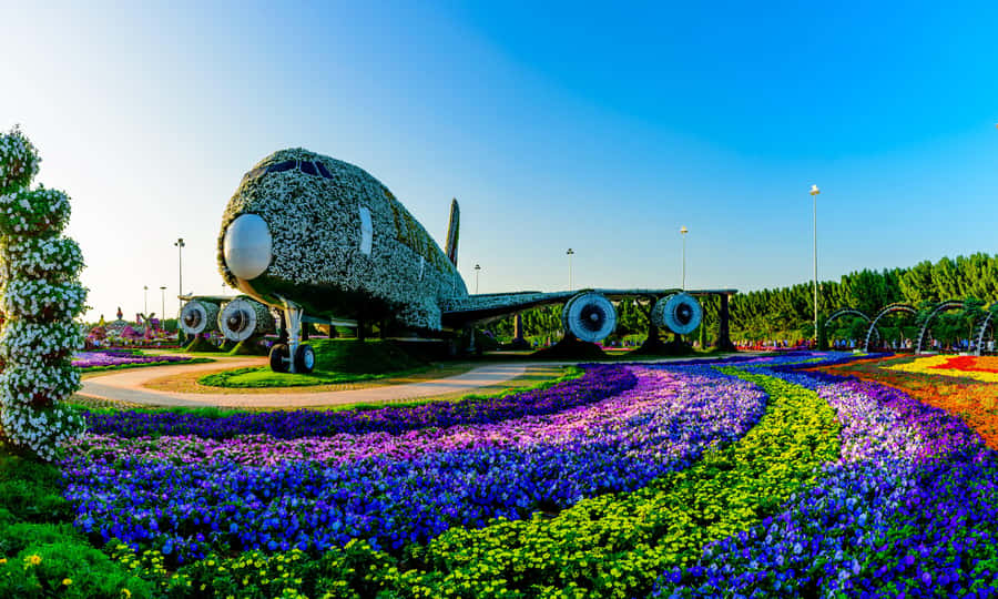 Dubai: Private Miracle Garden & Global Village Trip - The best way to use your time