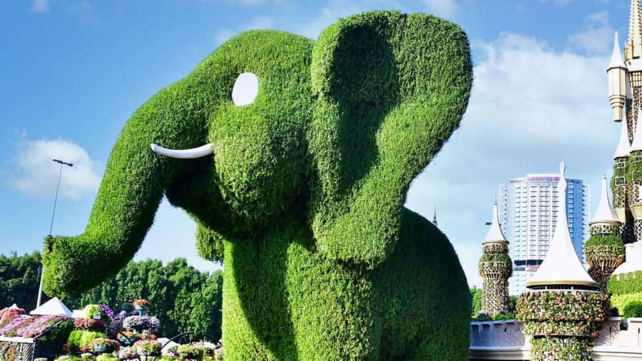 Dubai: Private Miracle Garden & Global Village Trip - FAQ