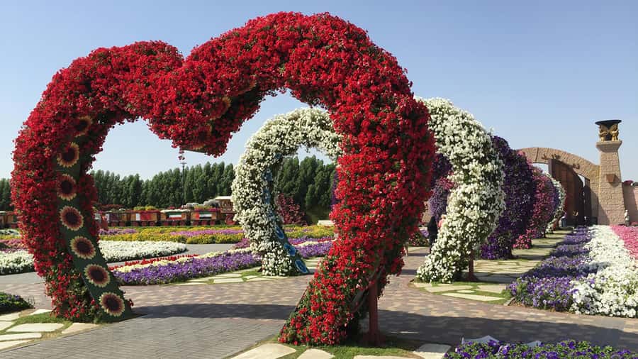 Dubai: Private Miracle Garden & Global Village Trip - Global Village after the flowers