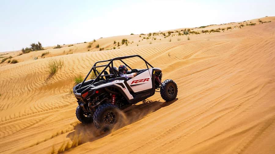 Dubai: Red Dune Desert, Dune Buggy Ride & BBQ Buffet Dinner - Sixty minutes over the red dunes