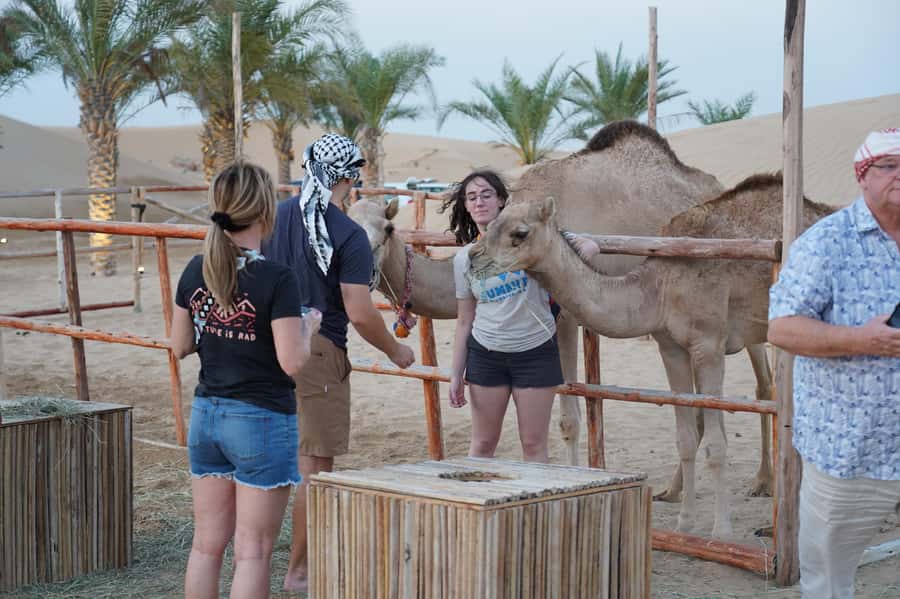 Dubai: Red Dune Desert Safari, Quad Bike, Camels, and BBQ - BBQ dinner and evening entertainment
