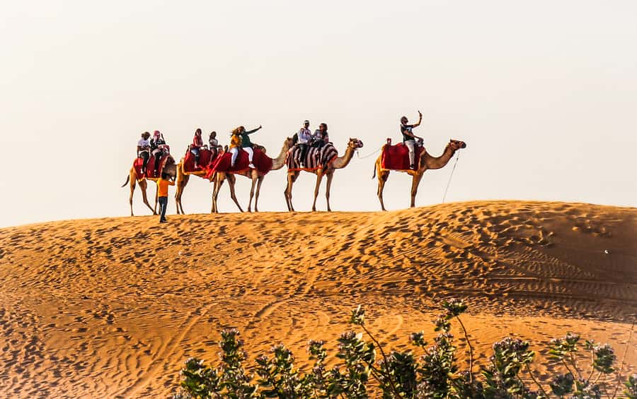 Dubai: Red Dune Safari, Quad Bike, Camel Ride, BBQ Dinner - At a glance