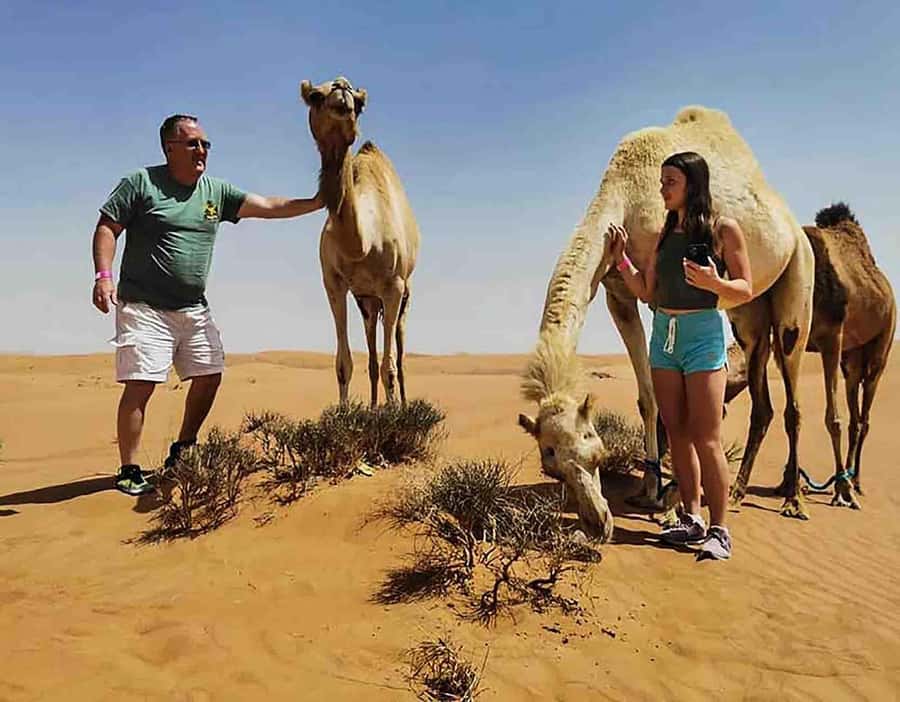 Dubai: Red Dunes Desert Safari with Premium Camp BBQ & Shows - Sandboarding on the open dunes