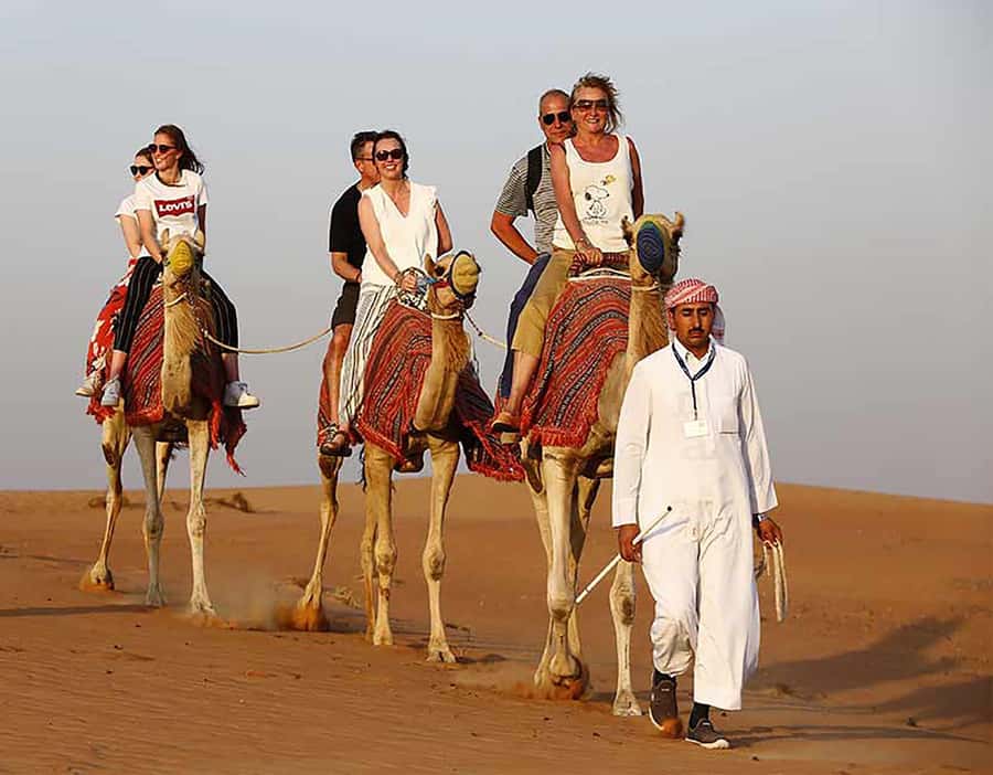 Dubai: Red Dunes Desert Safari with Premium Camp BBQ & Shows - What the guide adds to the experience